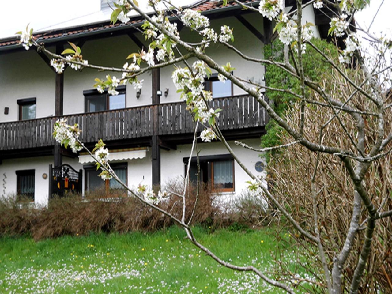 Kraus